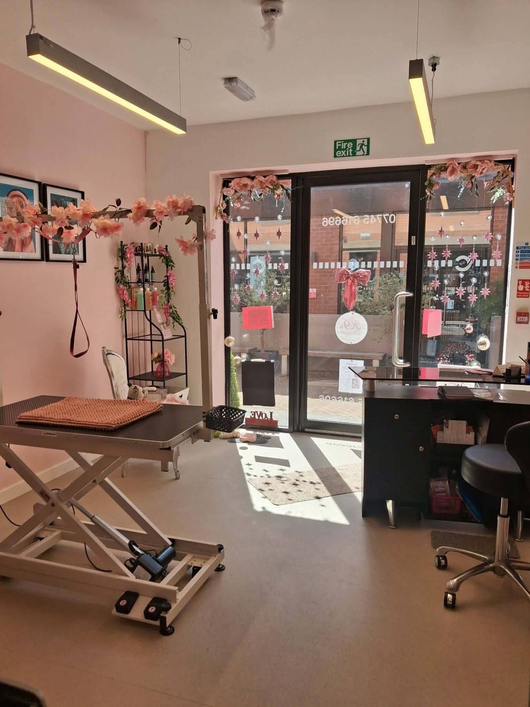 Looking out to King Street from inside the K9 Design salon